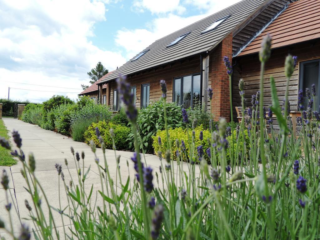 Elm Tree Farm Accommodation Milton Keynes Eksteriør billede